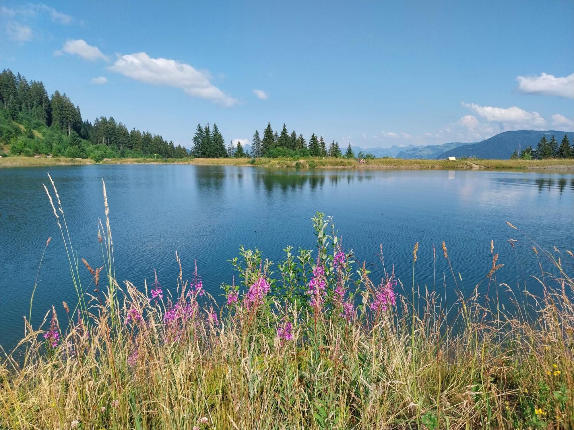 Landhaus Tirol ฮอพฟ์การ์เทน อิม บริกเซนทัล ภายนอก รูปภาพ